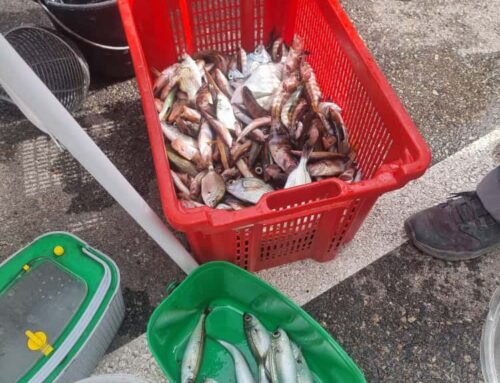 3ème et dernière sortie pêche !